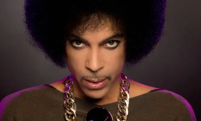Prince en gros plan , coupe afro.
